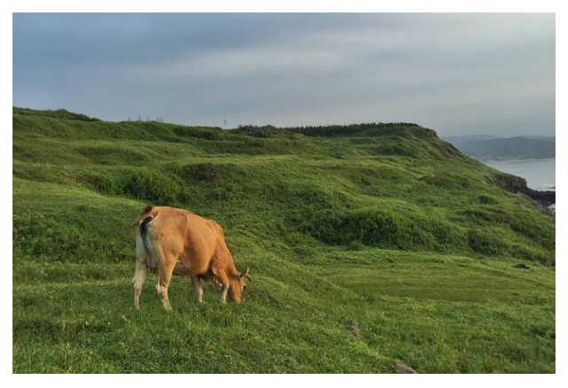 ���α�|ͼ�ı༭����