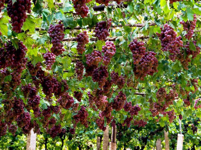 大峡谷喀什老城清真寺卡拉库里湖沙漠公路吐鲁番天山天池双卧17日游