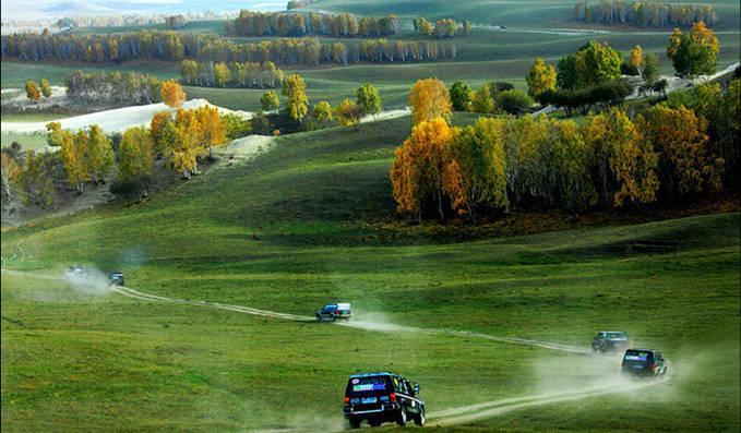 您可体验:(自愿参加,追梦坝上草原      烤全宴    )