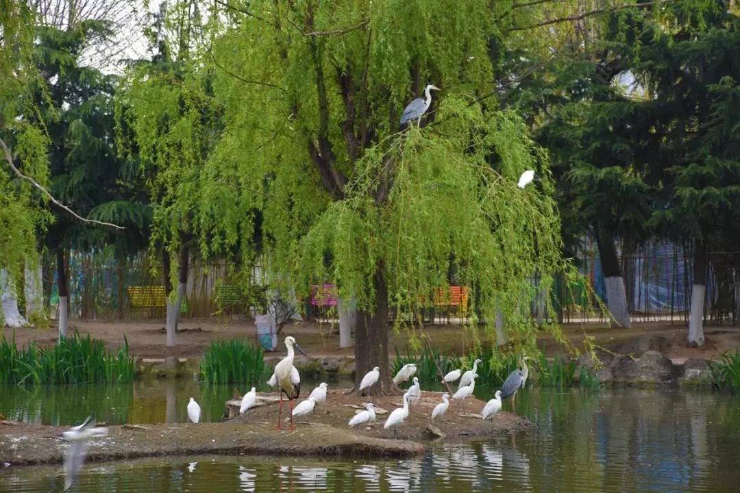 漯河市动物园图片